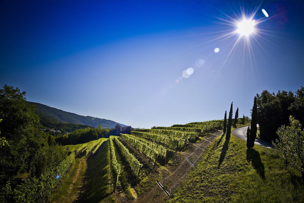 Venica & Venica Wine Resort Dolegna del Collio Екстериор снимка